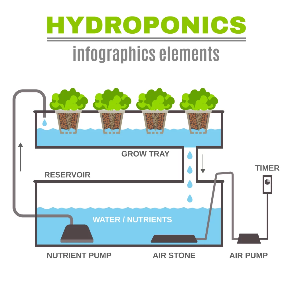 Cheap Homemade Hydroponic System Infographic
