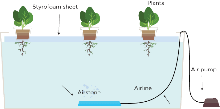 Deep Culture Water hydroponics system