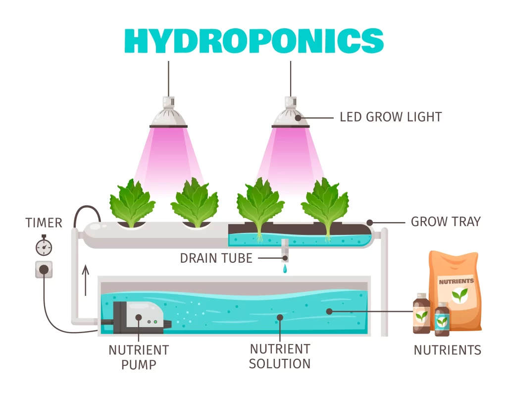 ebb and flow hydroponic system infographics