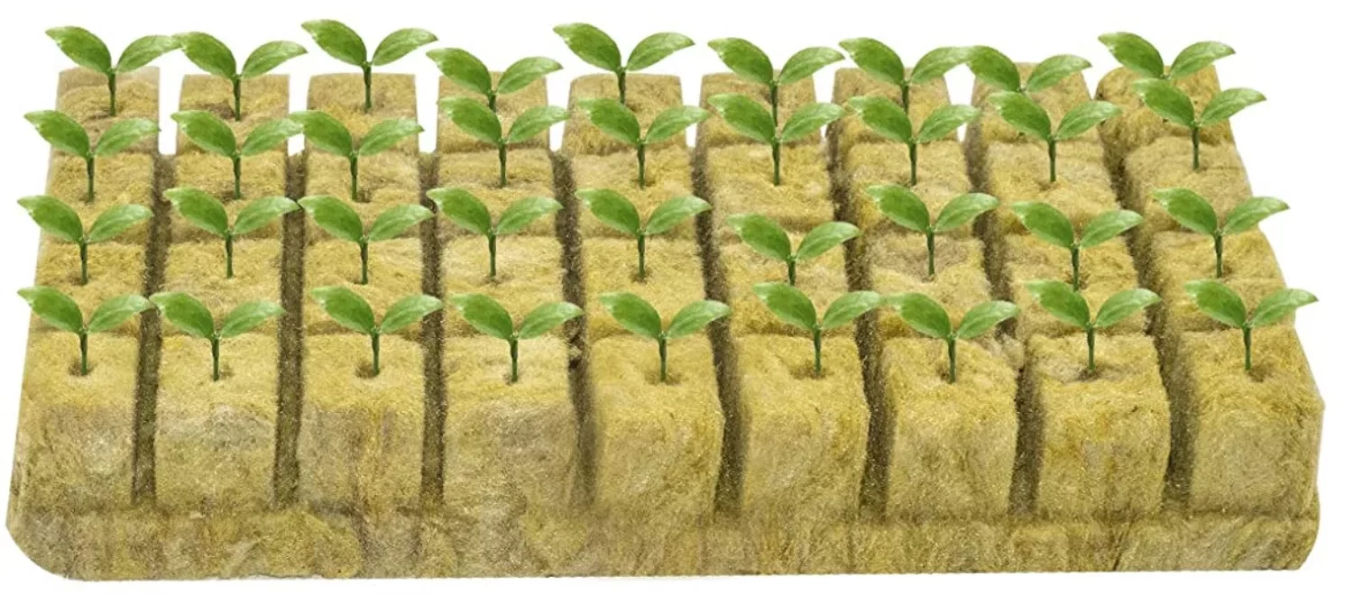 rockwool-growing-medium-for-hydroponics-2023-agricultural-vision